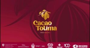 Llega el primer Concurso Regional de Cacao en el Tolima