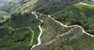 En el 99 % avanza construcción de placas huellas en Palomar