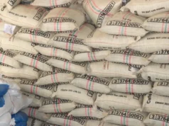 Excelente noticia. 17 toneladas de café del Tolima fueron exportadas a Shengdú