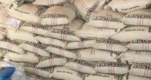 Excelente noticia. 17 toneladas de café del Tolima fueron exportadas a Shengdú